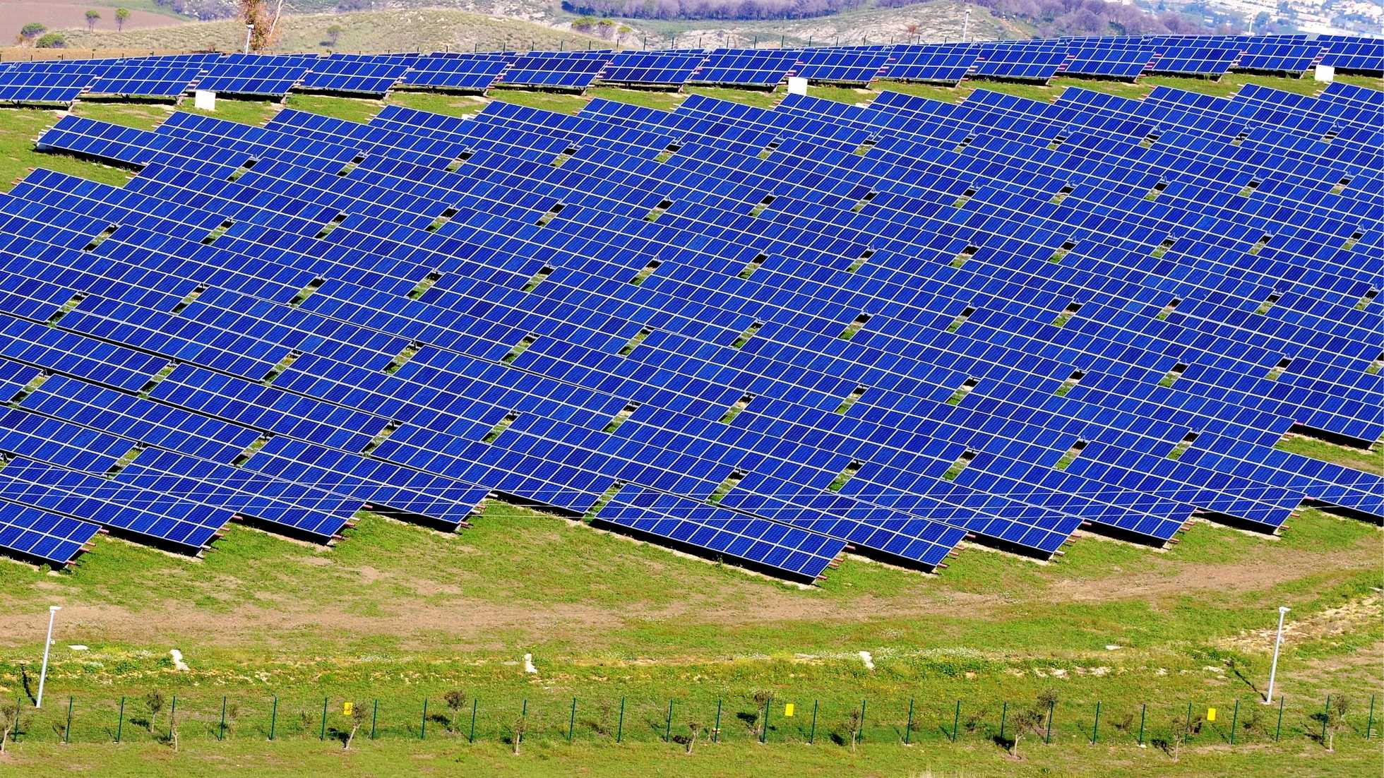 agrivoltaïsme