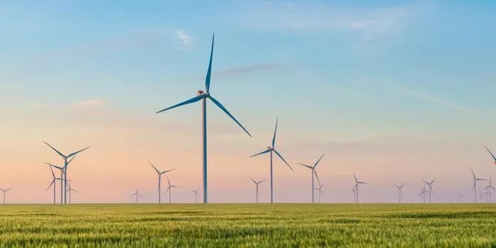 offres électricité verte pour professionnels
