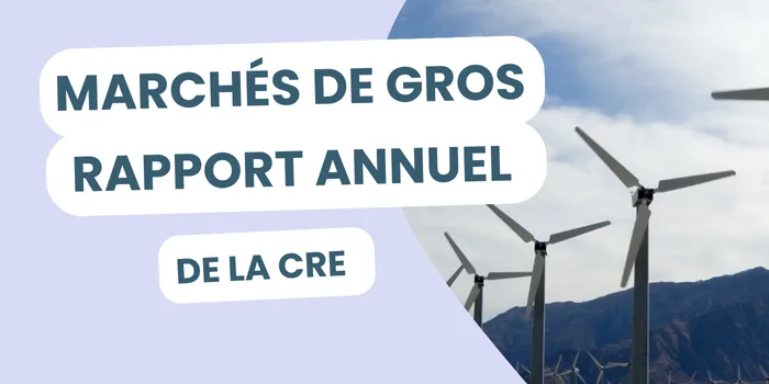 Rapport annuel de la cre