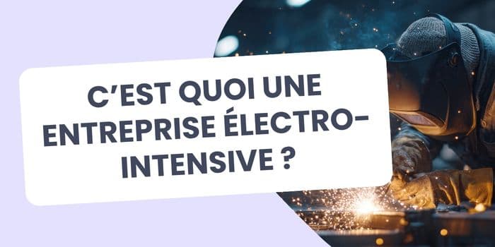 entreprise électro intensive définition
