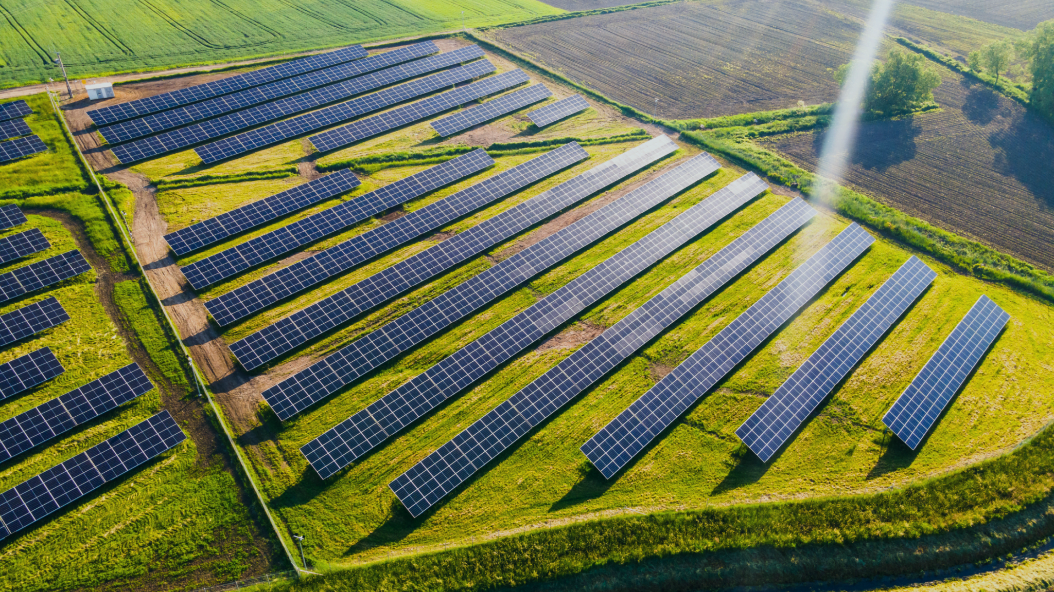 agrivoltaïsme