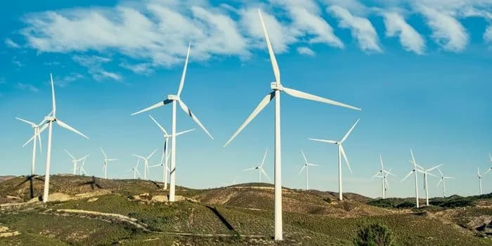 Les fournisseurs d'électricité verte